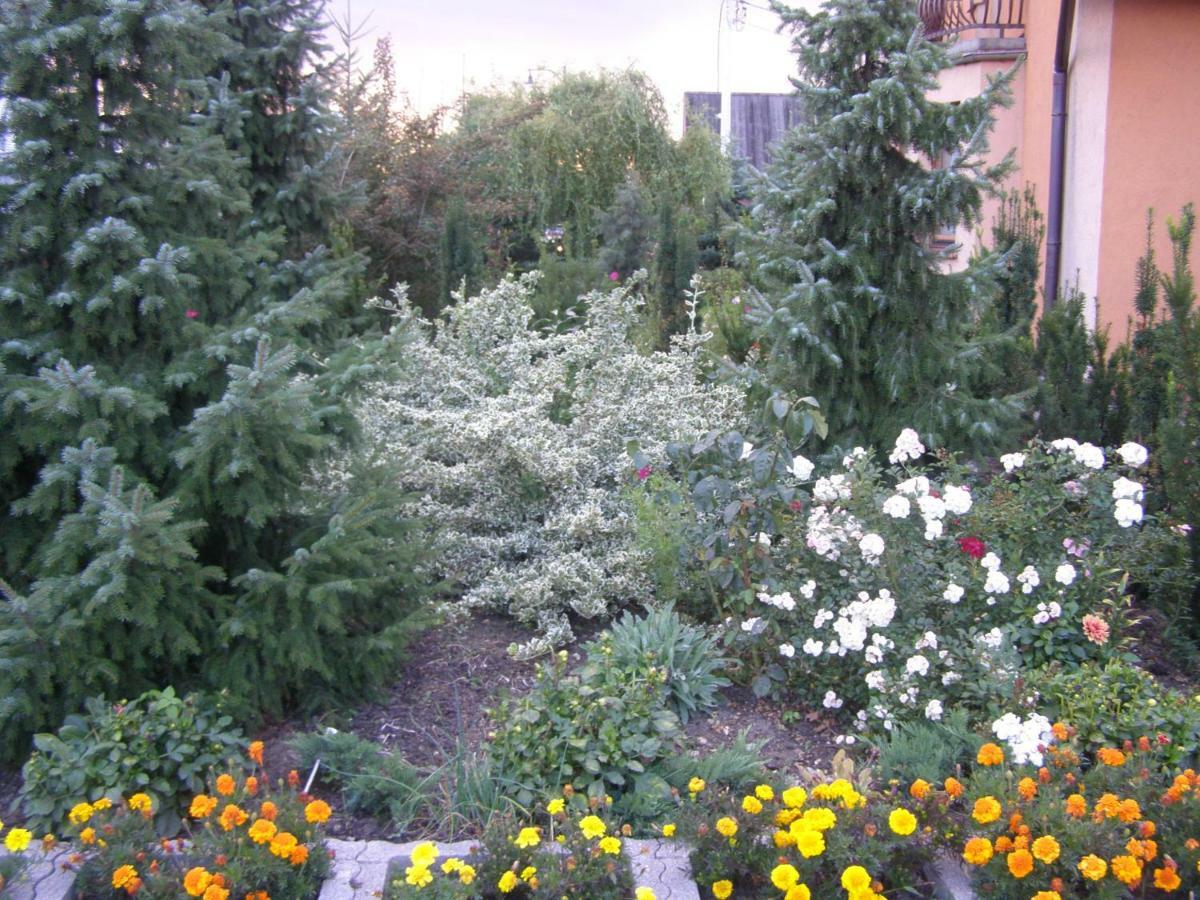 Gosciniec W Ogrodzie Apartment Brusy Екстериор снимка